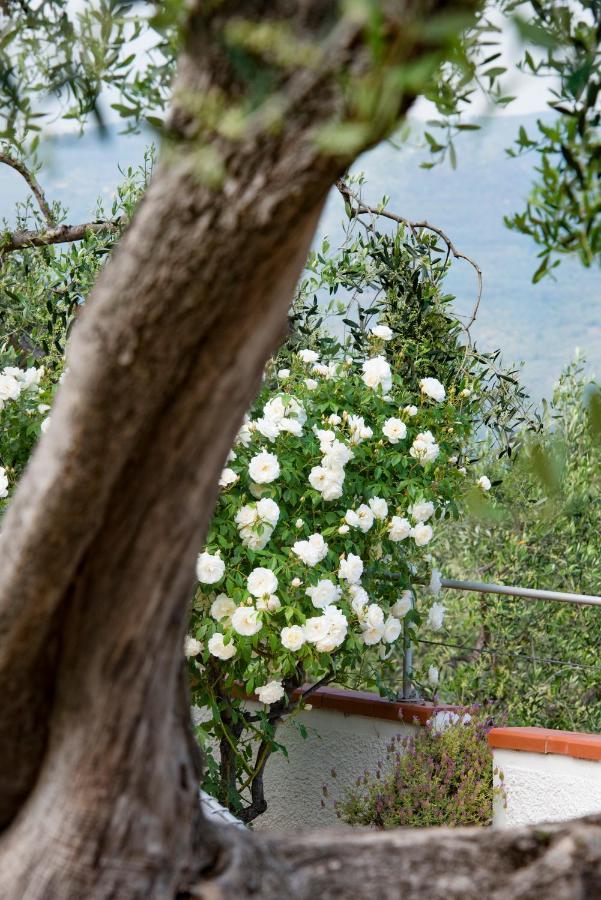 Villa Annetta *